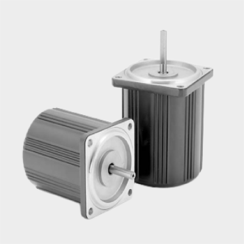 2-pole round shaft motor