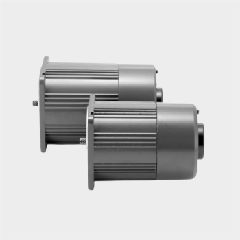 Variable Speed Electromagnetic Brake Motor