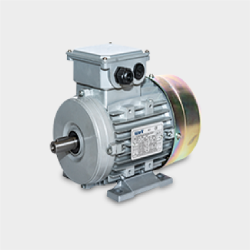 WAT Aluminum Motor (มอเตอร์อลูมิเนียม)