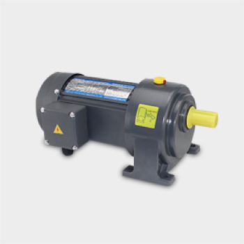 Houle Gear Reduction Motor