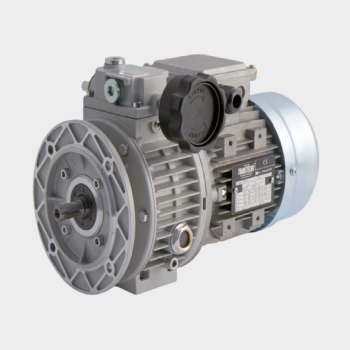 VAM Variable Speed Gear Motor